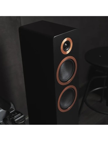Argon Audio forte a55 WiFi